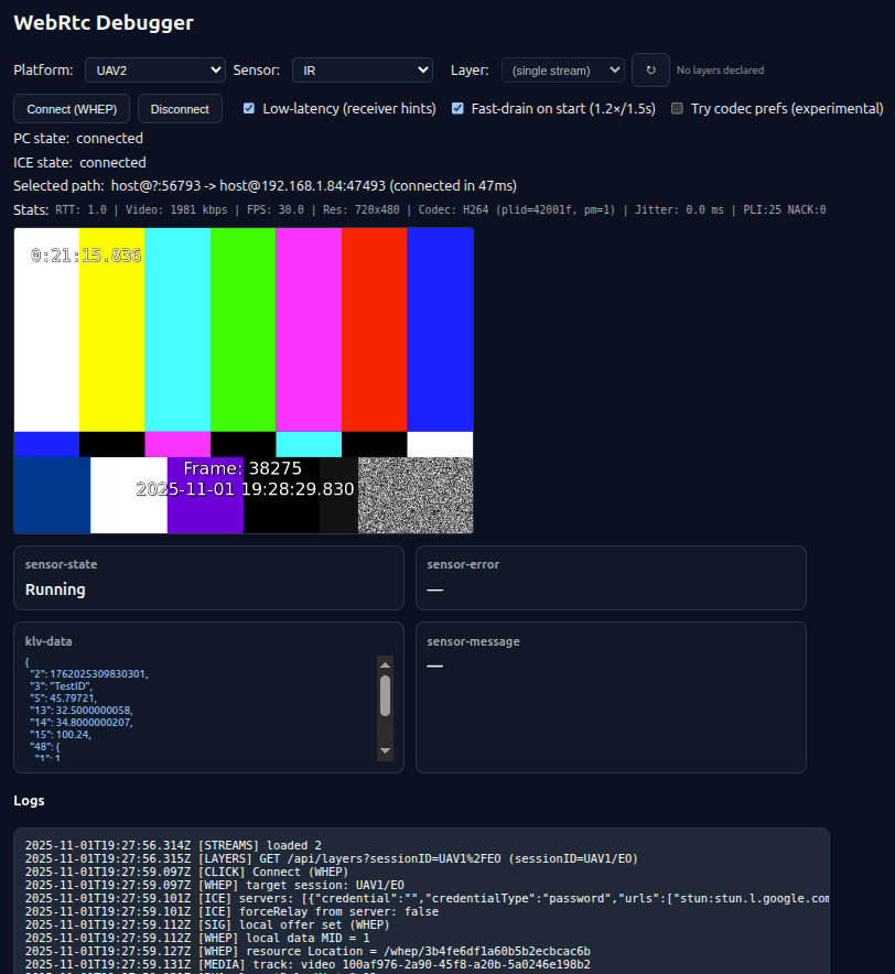 WebRTC debug console overview