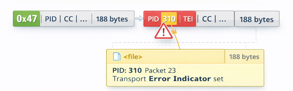 Transport Error Indicator