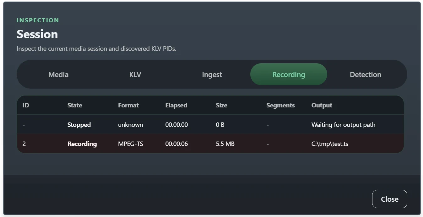 Session Window Record